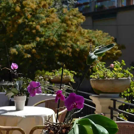Hotel Cipro